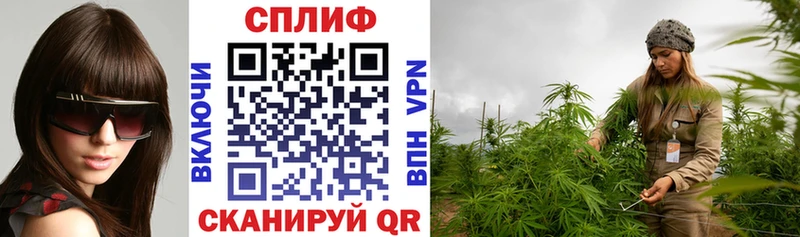 Купить закладки  Абинск  Каннабис планчик 